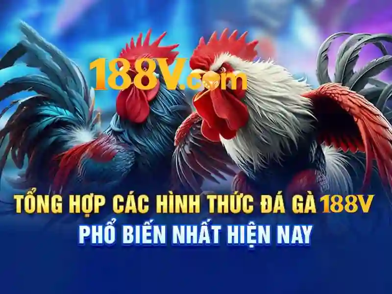 Câu hỏi về 188V có lừa đảo không