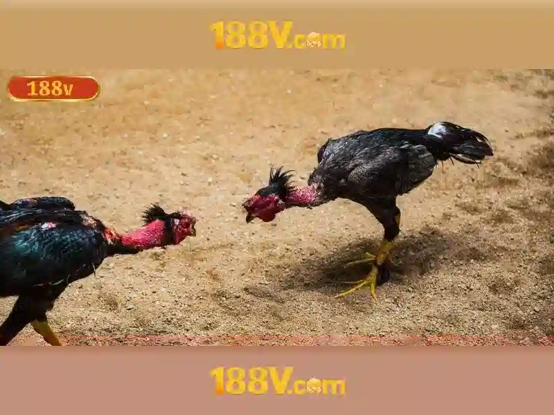 Trải Nghiệm Slot 188V