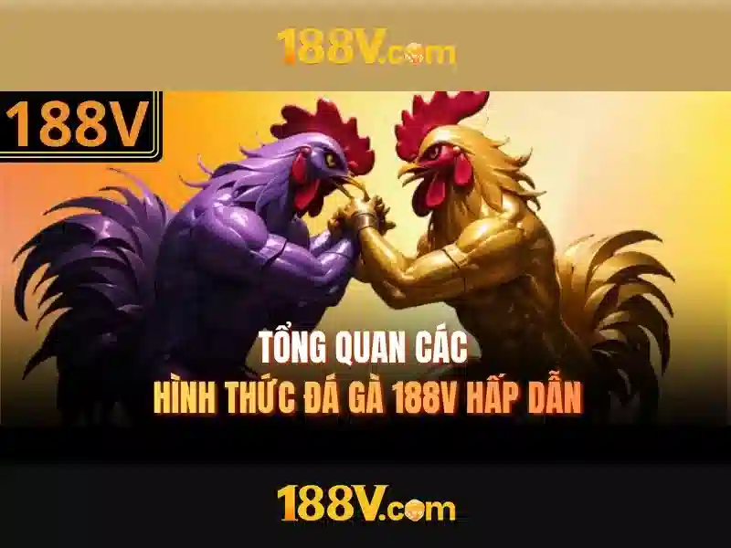 188V – Link Vào Trang Chủ 188V Chính Thức Không Bị Chặn 2026