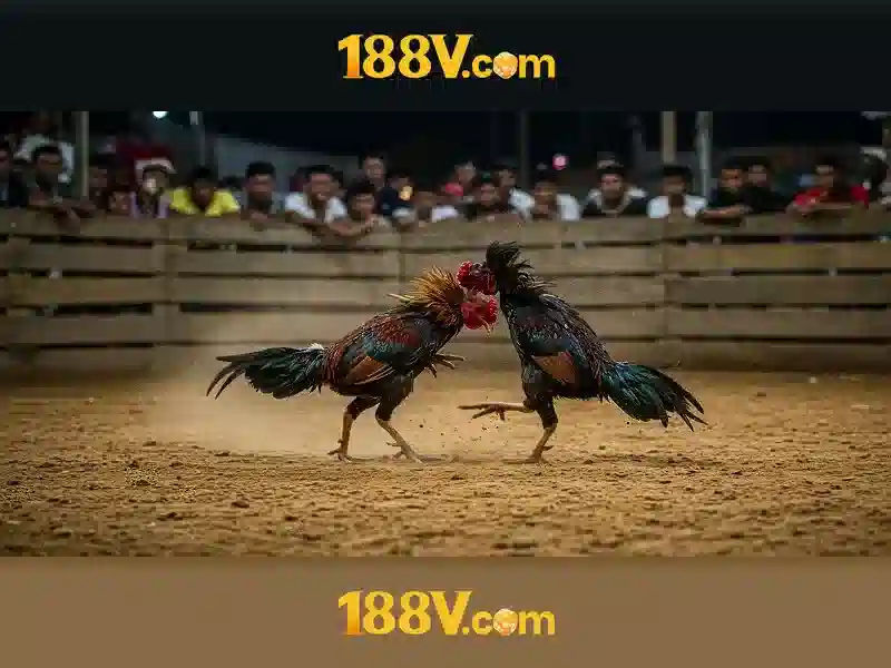 Hướng dẫn nổ hũ 188V