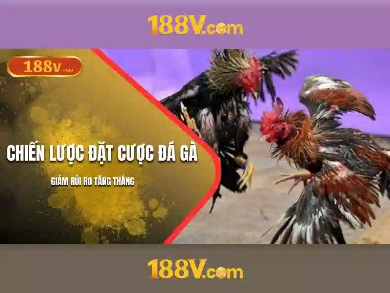 Ưu Đãi Slot