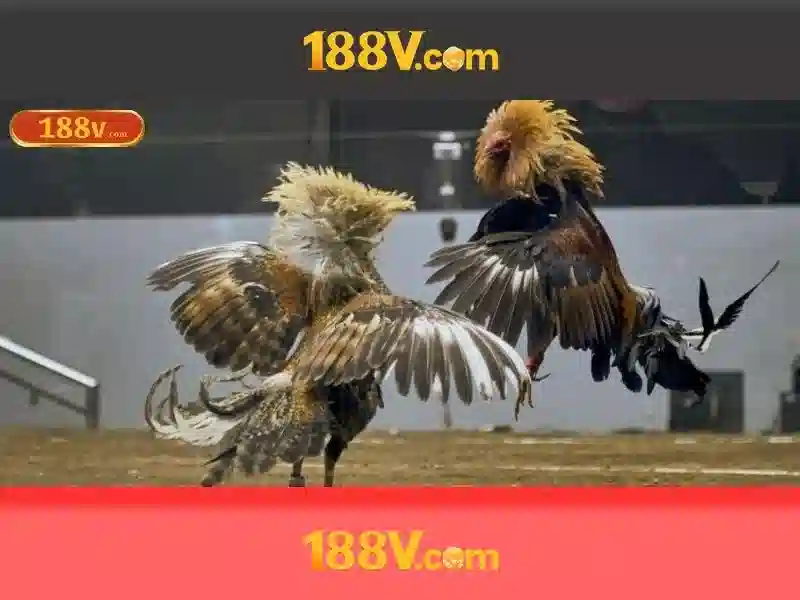 tải app 188v