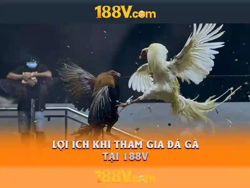 code 188v mới nhất