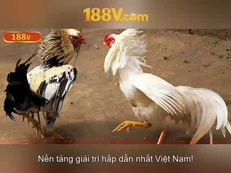 Cổng game 188v an toàn không bị chặn