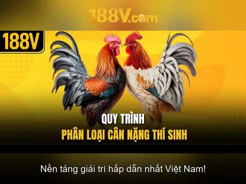 Tỷ Lệ Trả Thưởng