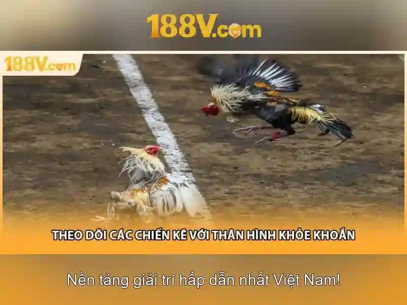 188v no hu
