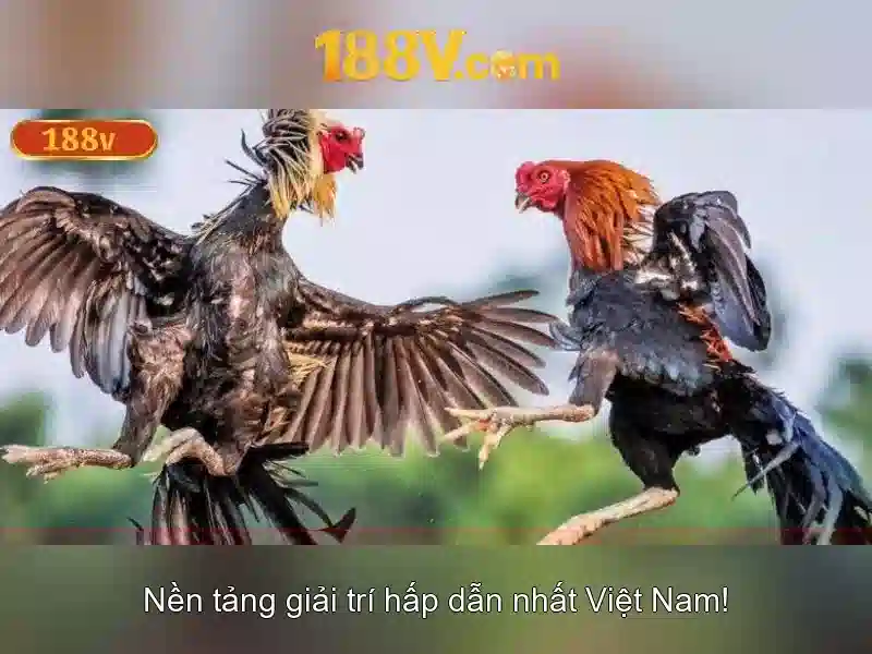 Đặc Điểm Nổi Bật Của 188V