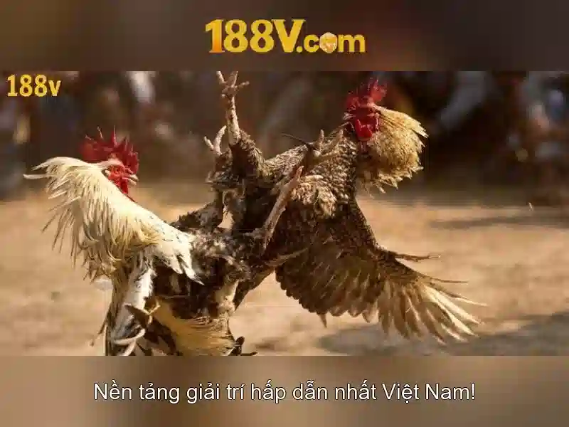 Trang Chủ 188v Chính Thức