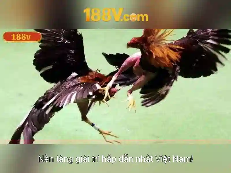 Hướng Dẫn 188V