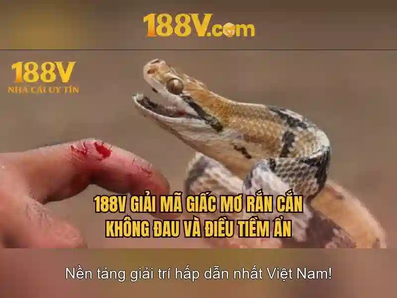 Tải 188v APK