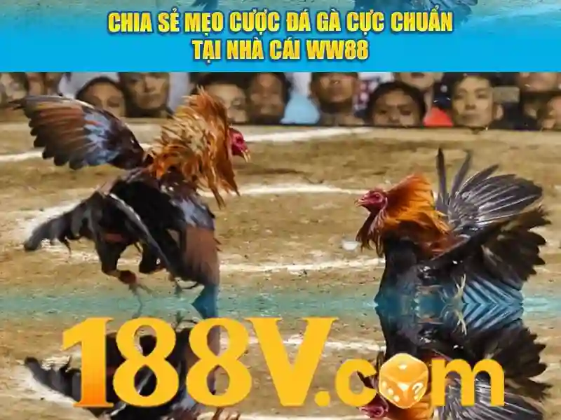 188V – Hướng Dẫn Sử Dụng 188V Đầy Đủ Cho Người Mới 2026