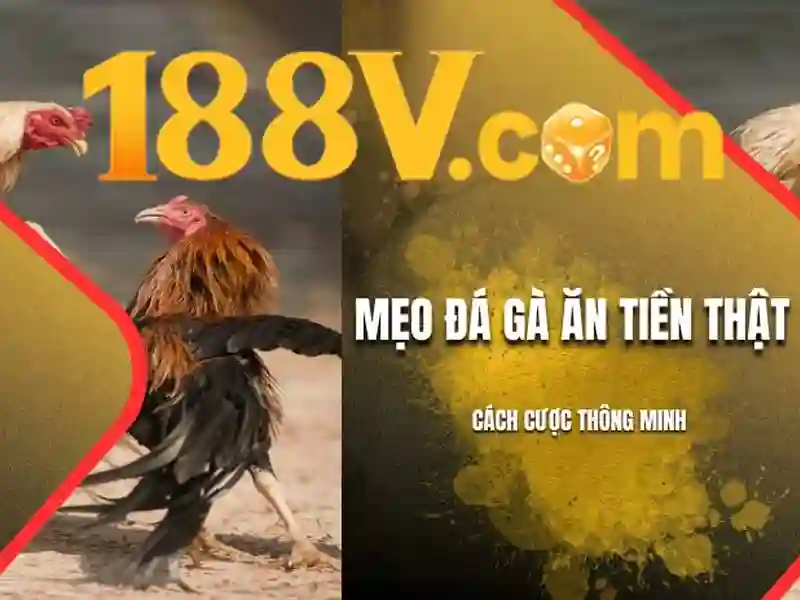 Trang Chủ 188V